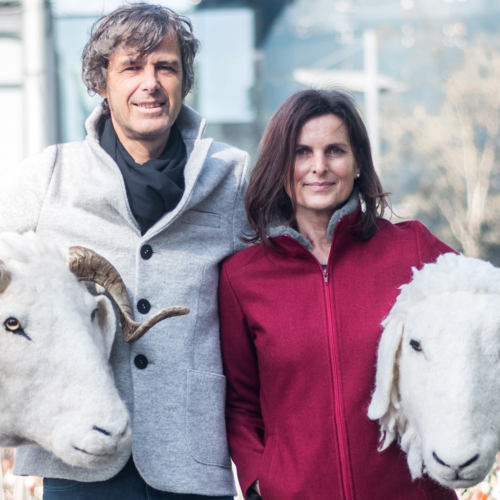 Bild zur Erfolgsgeschichte: Österreichische Wolle statt Kunstfaser und Daune
